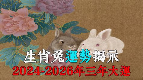 2024生肖兔運勢|2024生肖兔整年運勢一次看！多注意健康、主動做一。